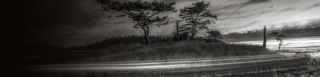 Header Image